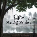 മരം പെയ്യുമ്പോൾ